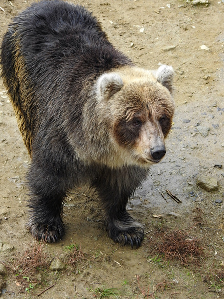 93-201027kenko