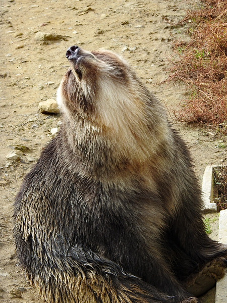 112-201027kenko