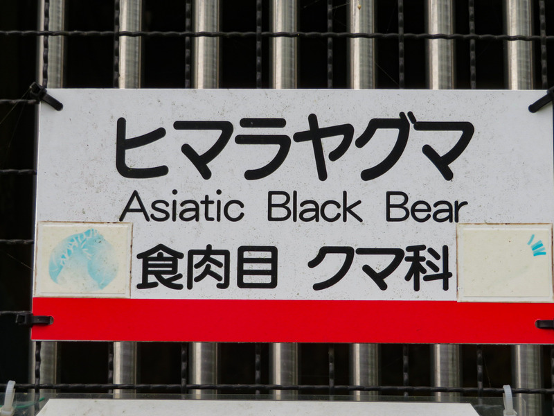 5-200912hokuto