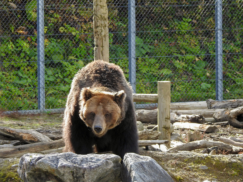 198-201027sazae