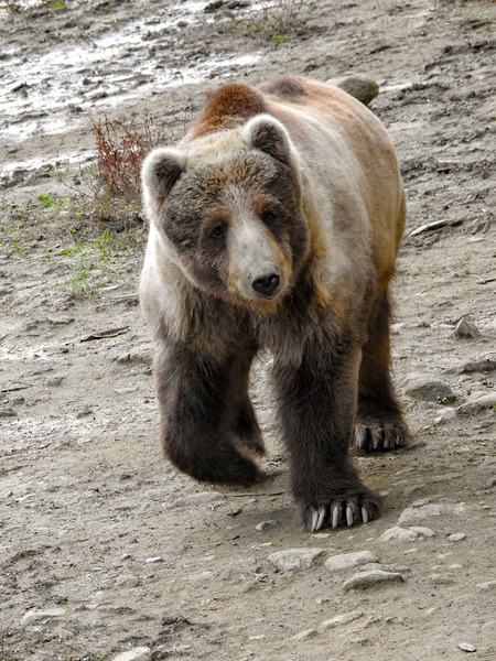 103-201027keiko
