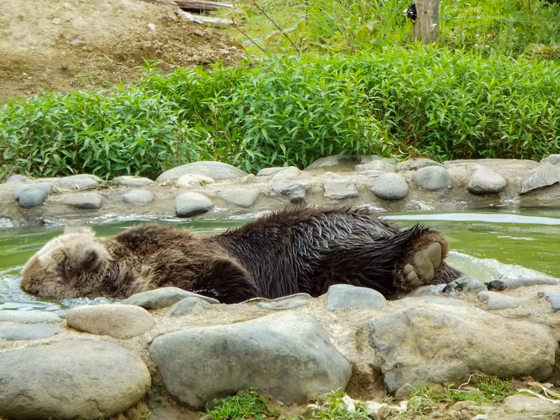 93-190722keiko