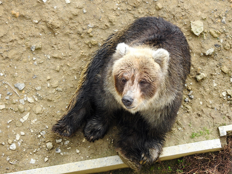 110-201027kenko
