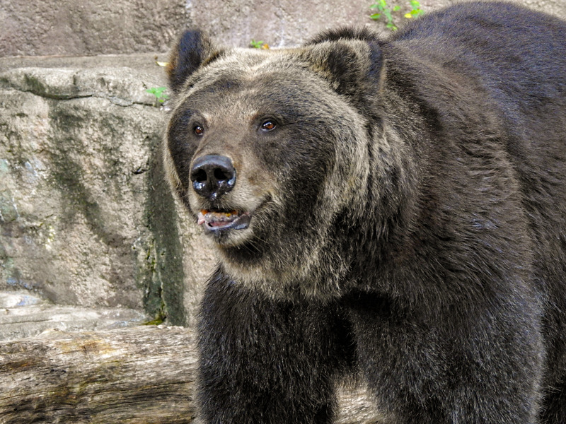 43-200921goroh