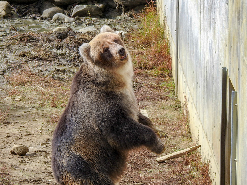 104-201027kenko