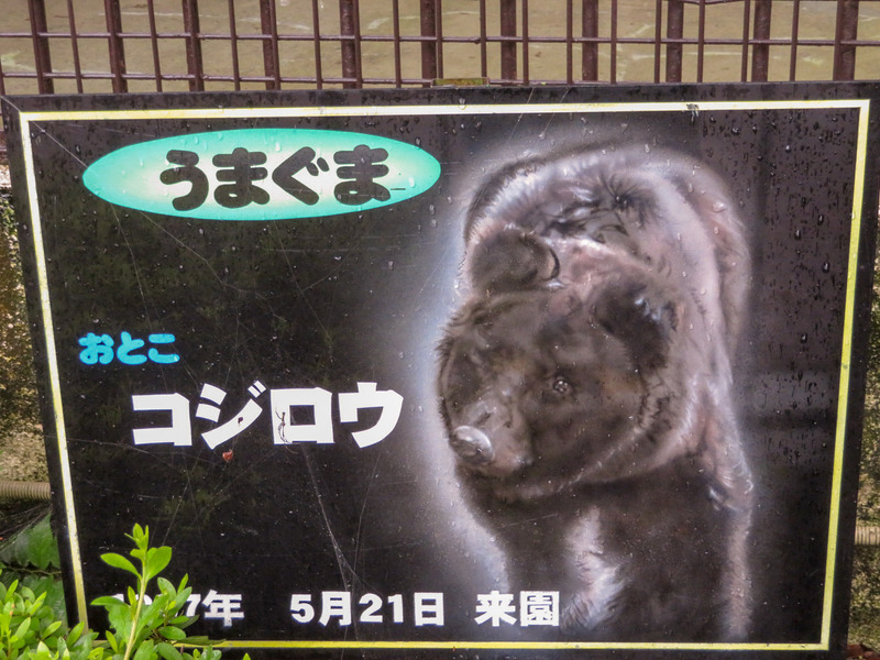 2-190826kojiroh