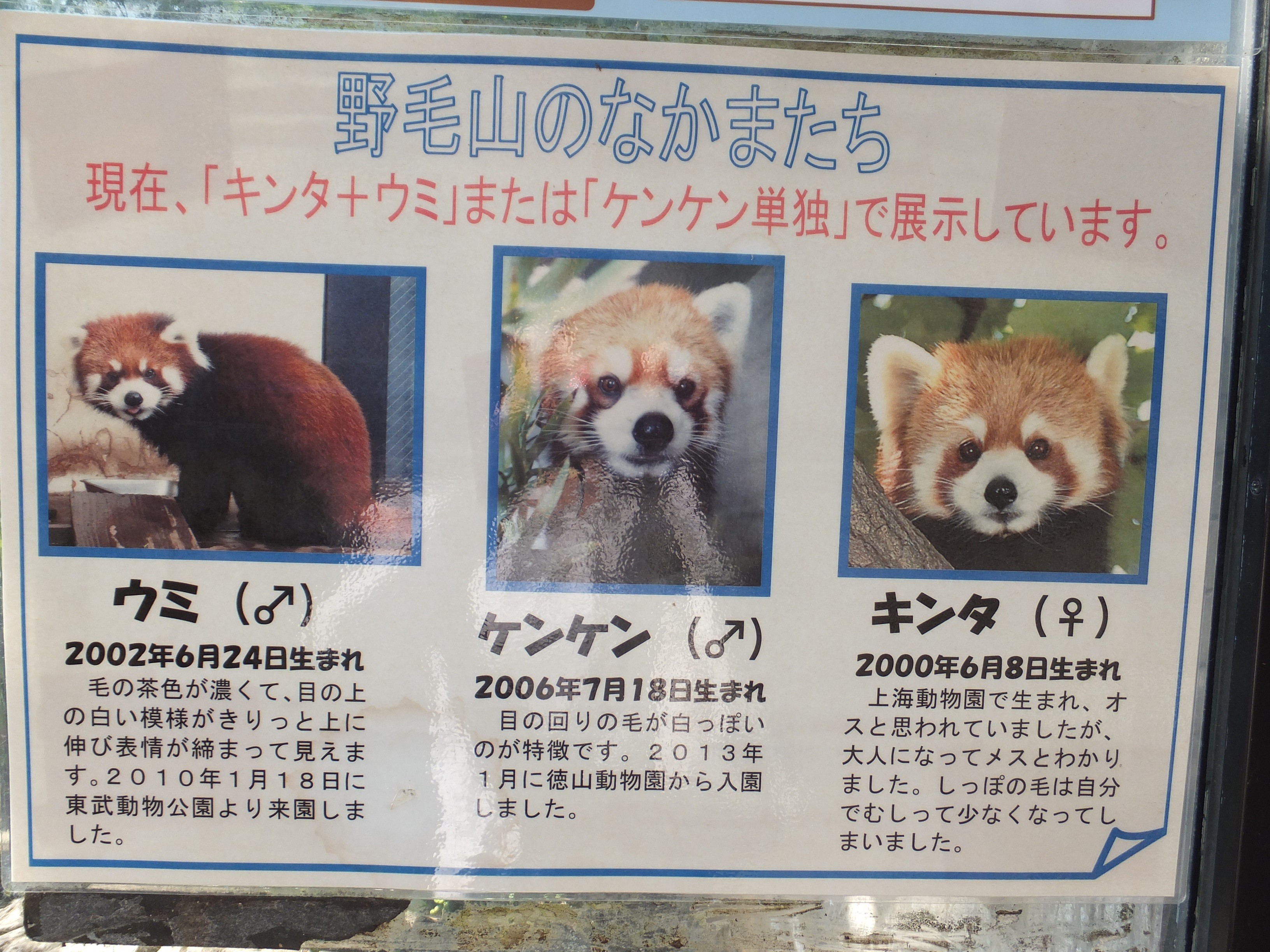 毛が無いと案外細いんです 孤独と孤高の狭間 其処に羆 毛が無いと案外細いんです 孤独と孤高の狭間 其処に羆