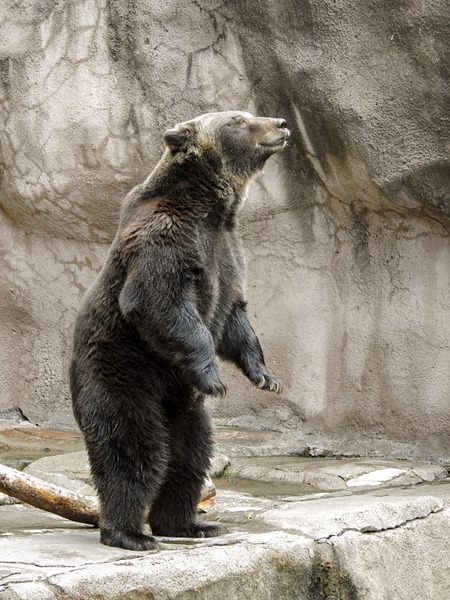 45-200921goroh