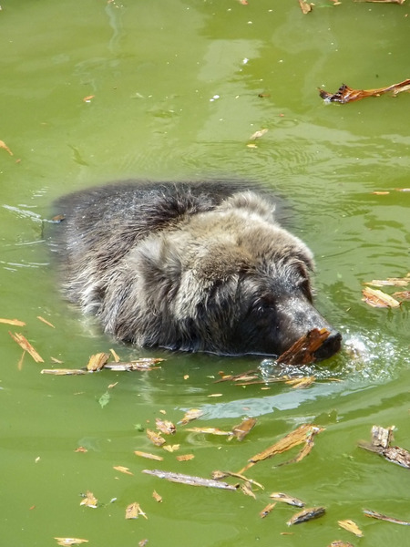 10-190721keiko