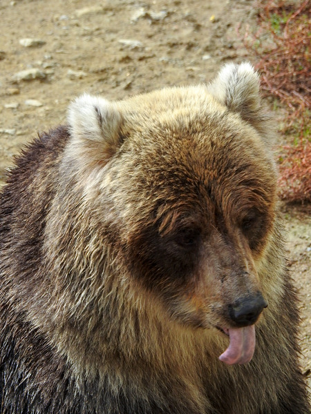 114-201027kenko
