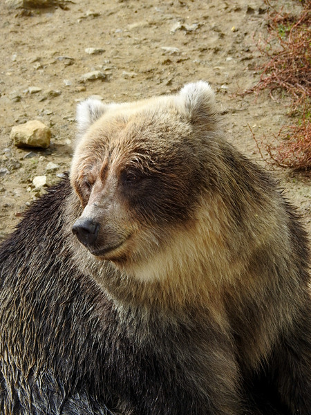 113-201027kenko