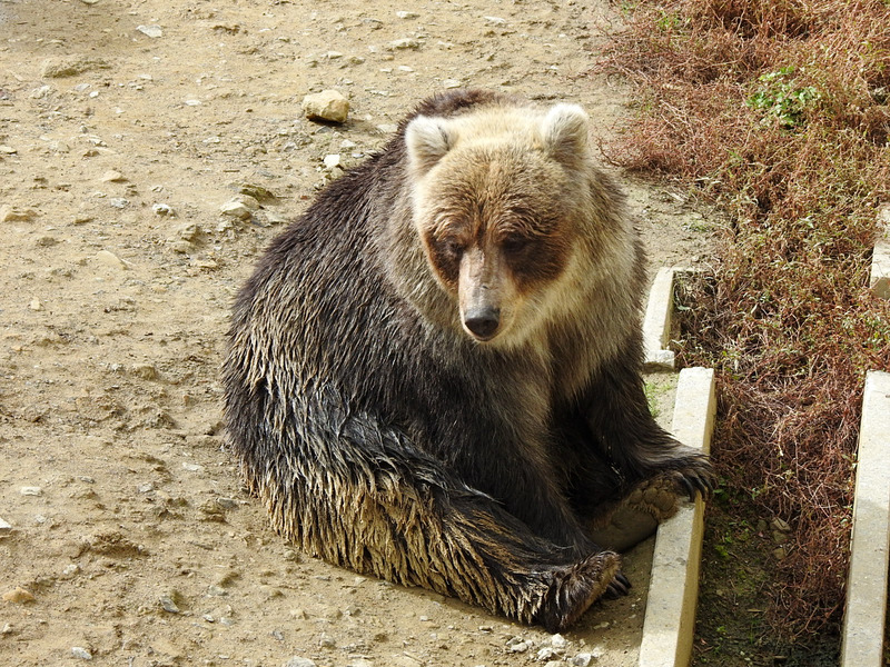 109-201027kenko