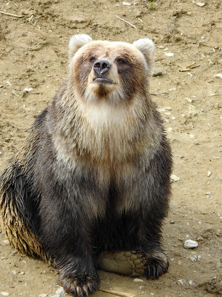 111-201027kenko