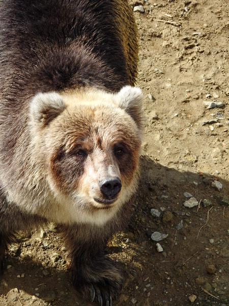 119-201027kenko