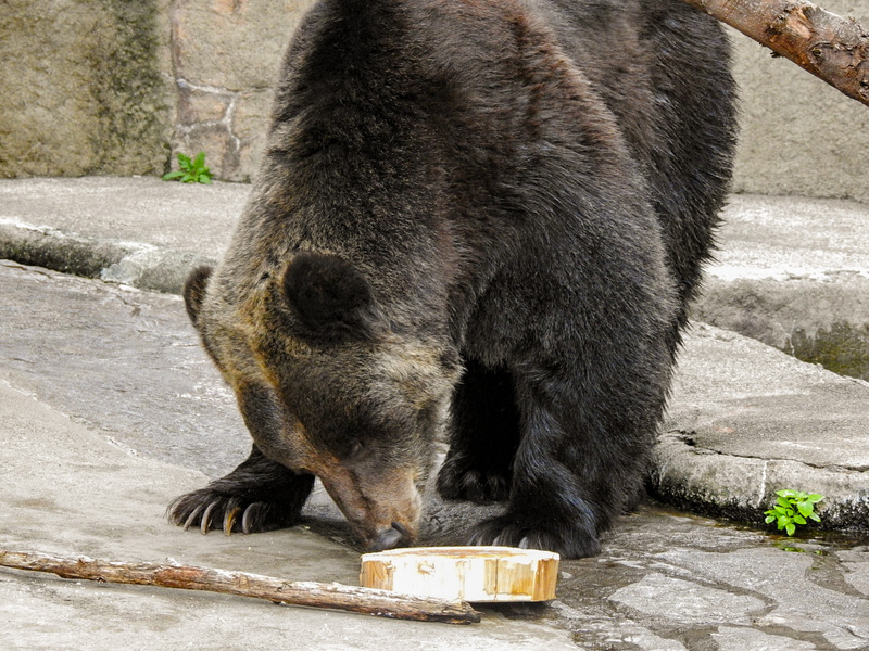 37-200921goroh