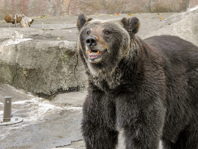 32-200921goroh