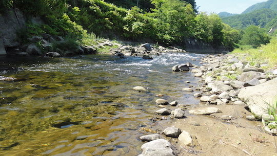 渓流釣り 落部川 雑木林に暮らす