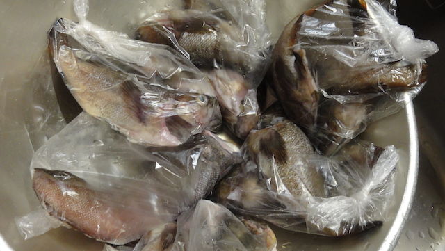 穴釣りへ 雑木林に暮らす