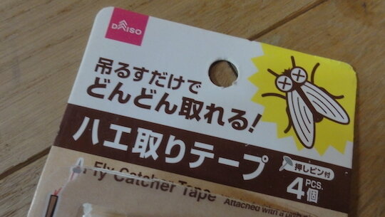 ハエリボンでアブを捕獲する 雑木林に暮らす
