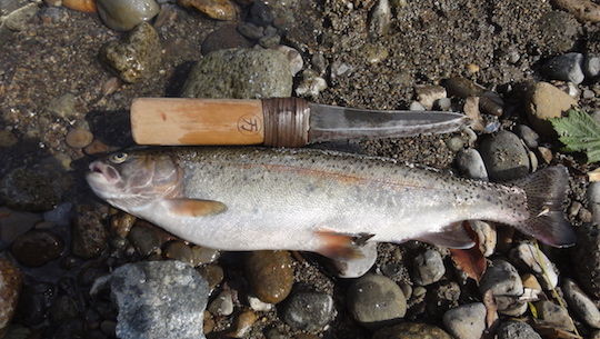 渓流釣り 海釣り 雑木林に暮らす
