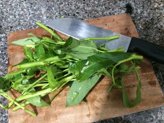 空心菜のスープ簡単ベトナム料理レシピ ハノイの日本人宿 イージーステイハノイのblog