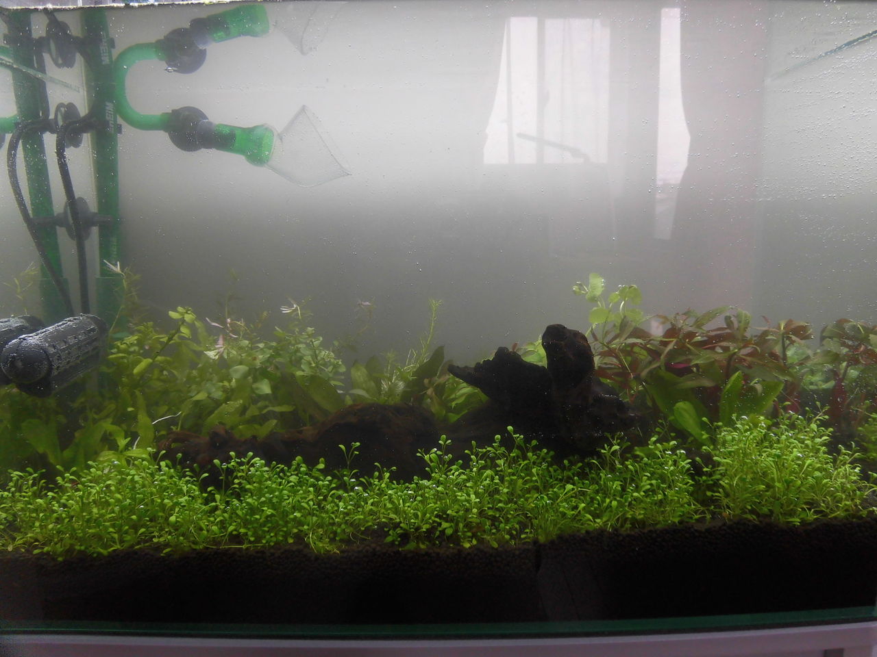 60水槽 水を入れる Now And Then Here And There