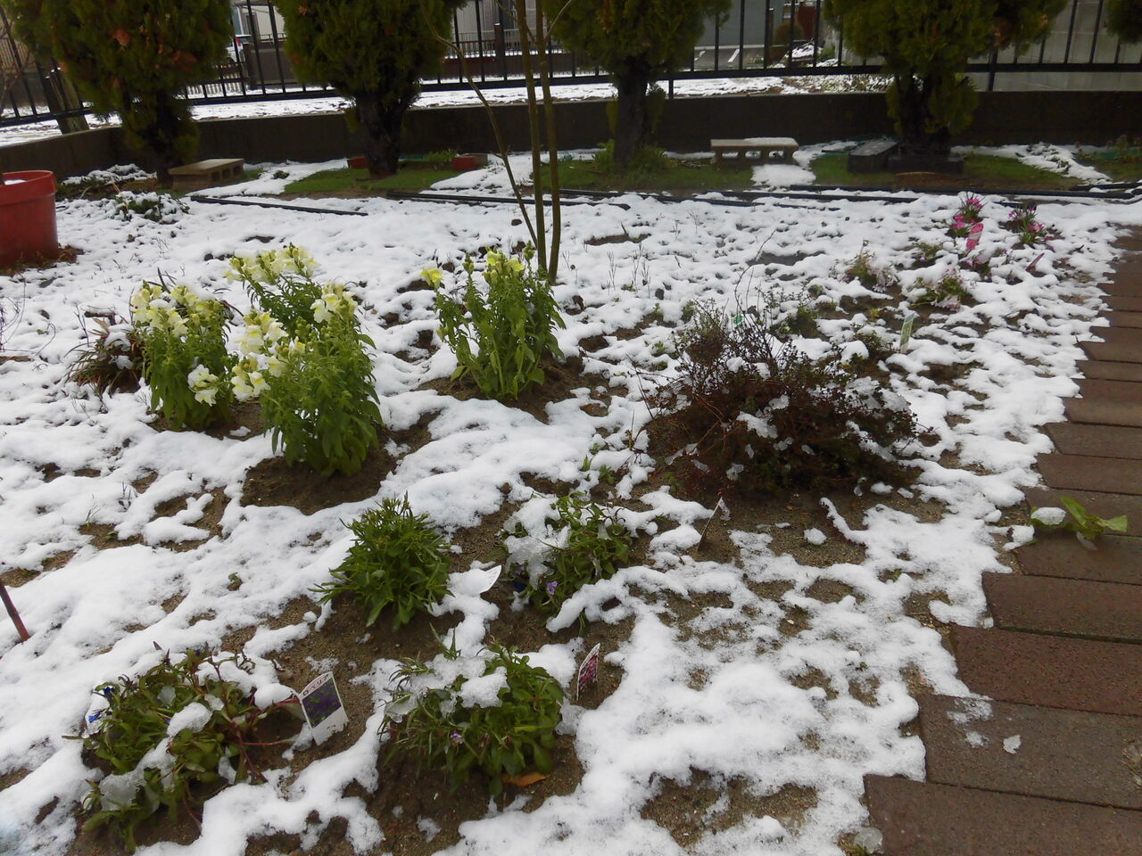 名残の雪 Now And Then Here And There 名残の雪 Now And Then Here And There