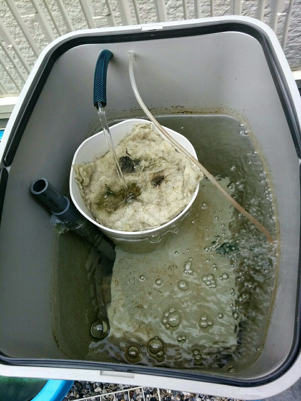 我が家の飼育設備 錦鯉のタライ飼育日記