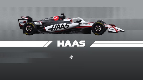 ハースF1チーム