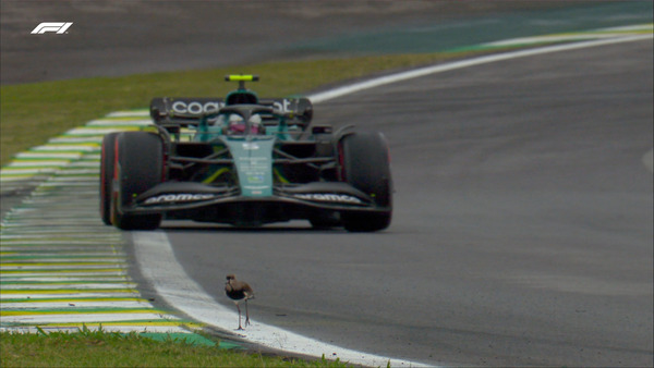 鳥とベッテル:2022年F1サンパウロGP