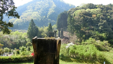 CIMG0220