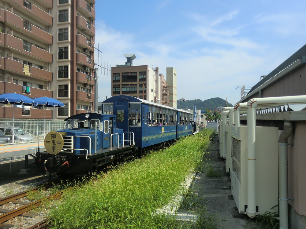 CIMG2446