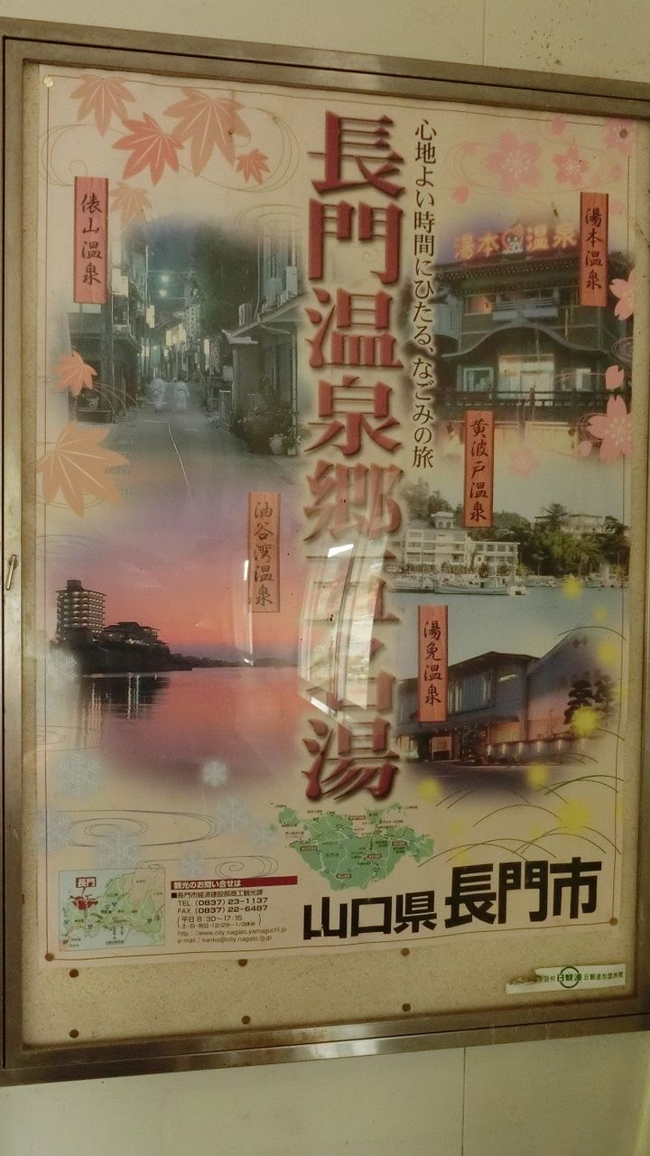 イメージ 7