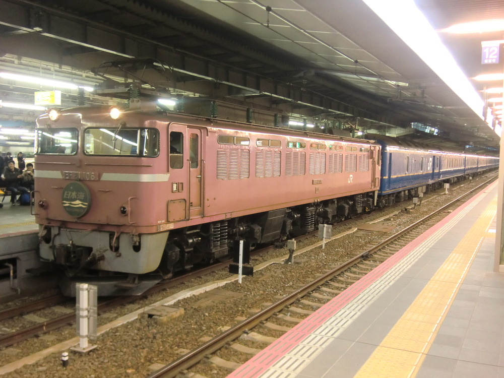 CIMG1229
