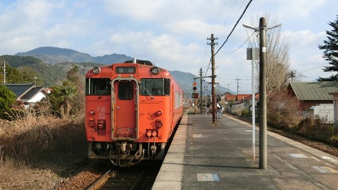CIMG3341
