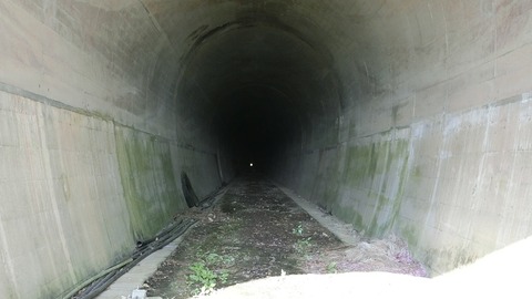 CIMG0156