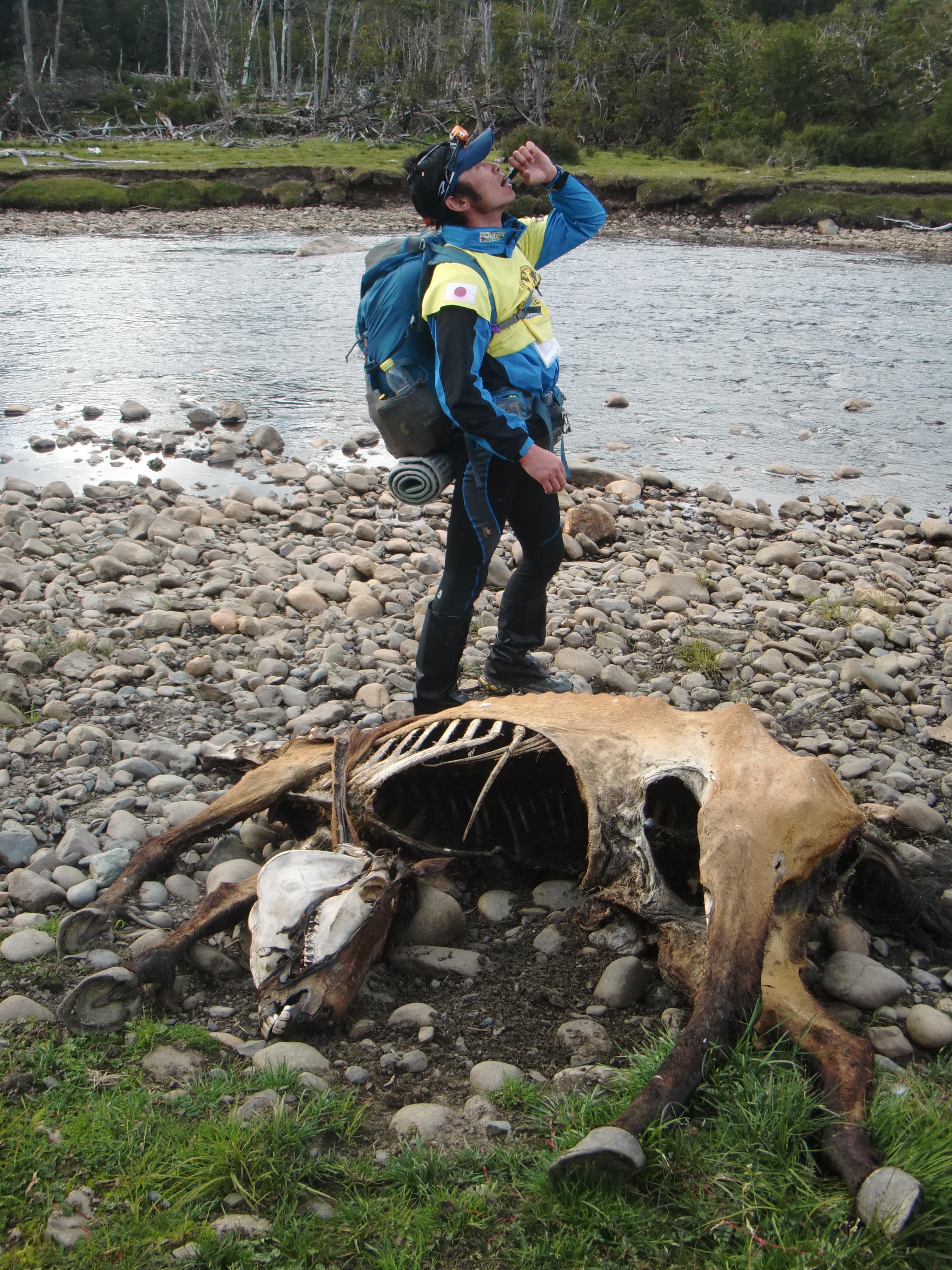 Animale Di Patagonia パタゴニアの動物 倉田文裕 オフィシャルブログ Passo A Passo 一歩一歩 Animale Di Patagonia パタゴニアの動物 倉田文裕 オフィシャルブログ Passo A Passo 一歩一歩