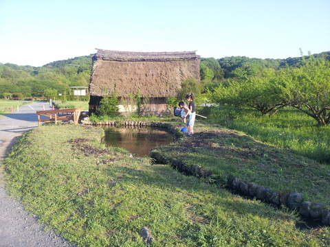 20120505_170824