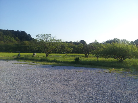 20120505_171147
