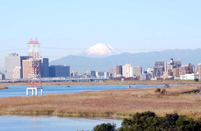多摩川から見た富士山 - 美術品