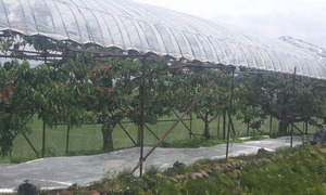 20130616_112134