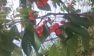 20130616_112602