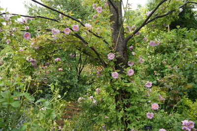 DSC09506