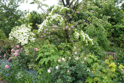 DSC09507