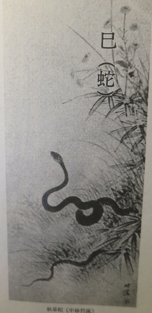 涸沢の蛇 蠅太郎のぼやき つぶやき