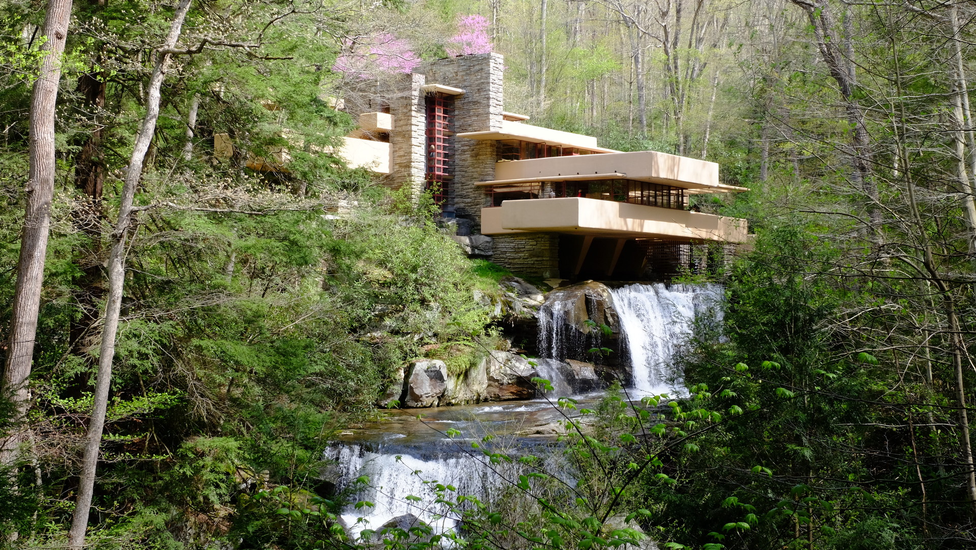 FallingWater「落水荘」 : 風ノ栞
