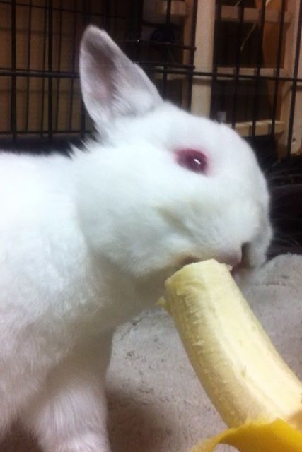 いちばん好きなもの あゆめも