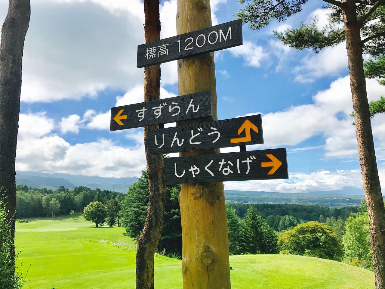 高原でゴルフ 蓼科高原カントリークラブ ふぁ ふぁ 宮古島