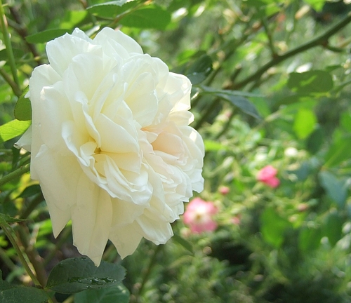 120510 Fl006