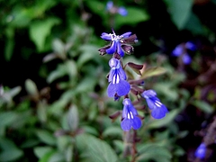 0908 078